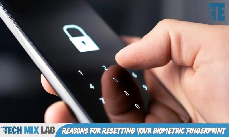 Reasons For Resetting Your Biometric Fingerprint