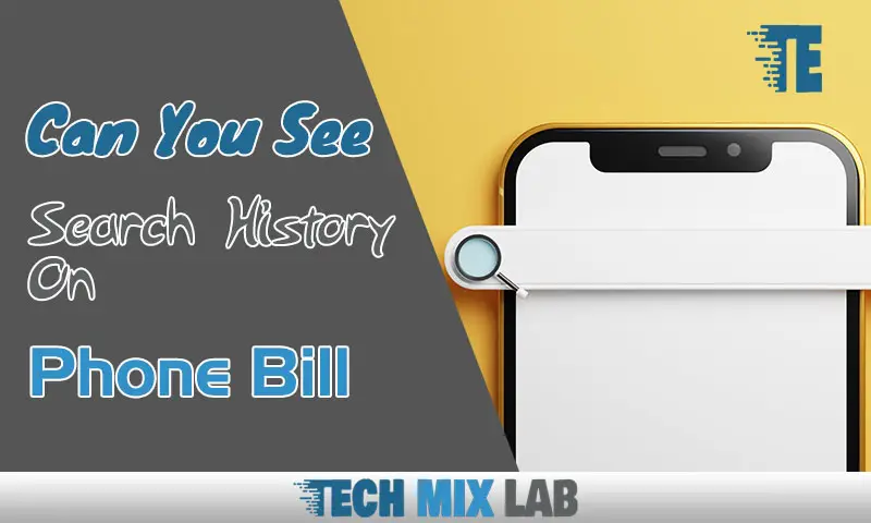 Can You See Search History On Phone Bill