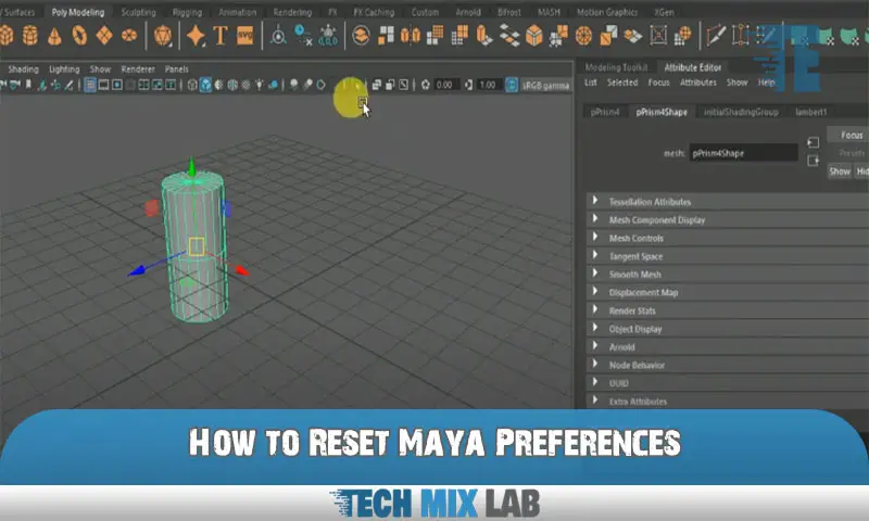 How to Reset Maya Preferences