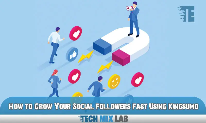 How to Grow Your Social Followers Fast Using Kingsumo: Proven Strategies